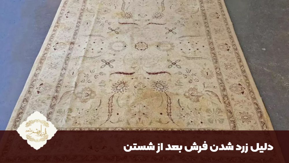 دلیل زرد شدن فرش بعد از شستن