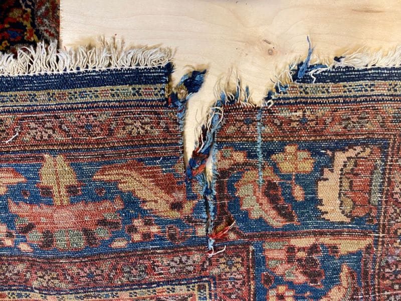 علت پوسیدگی فرش