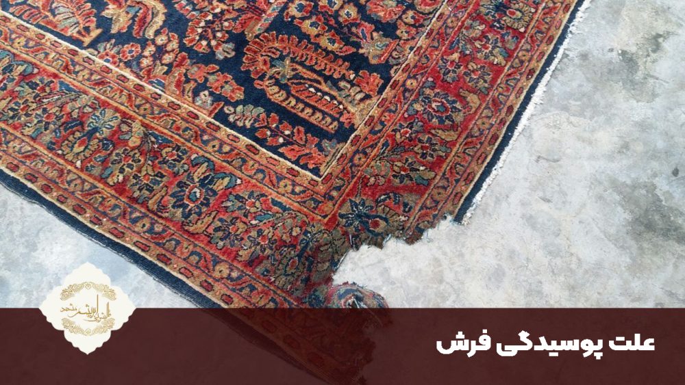 علت پوسیدگی فرش